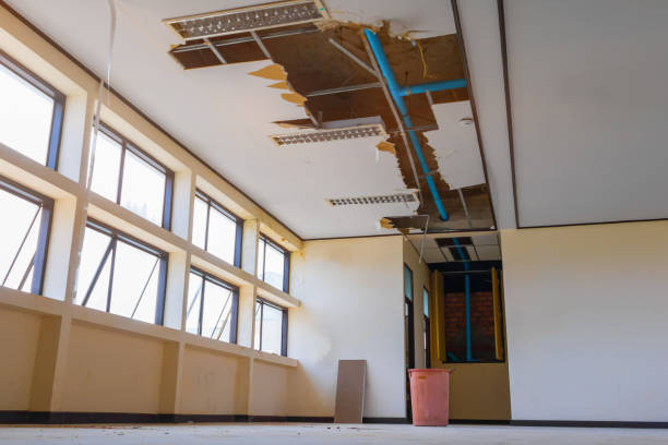 Best Basement water damage restoration  in Port Clinton, OH
