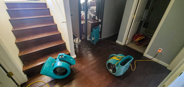 Best Water damage restoration company  in Port Clinton, OH