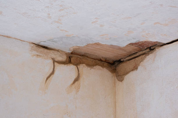 Best Fire Damage Restoration  in Port Clinton, OH