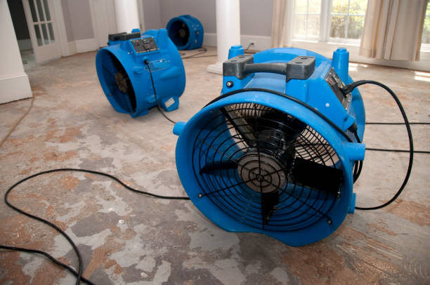 Best Water damage restoration near me  in Port Clinton, OH