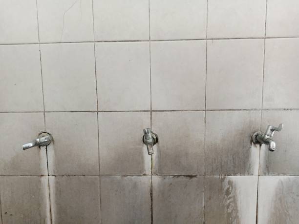 Best Flood restoration services  in Port Clinton, OH