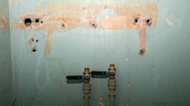 Best Water damage restoration cost  in Port Clinton, OH