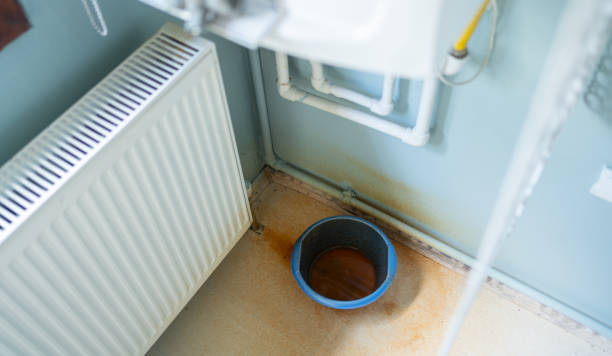 Best Local water damage restoration  in Port Clinton, OH